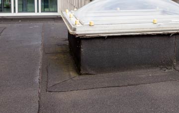 disadvantages of Dipford flat roofs