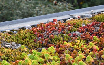 the cost of Dipford green roof installation