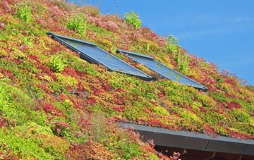 Dipford living roof systems