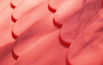 Dipford plastic roof costs