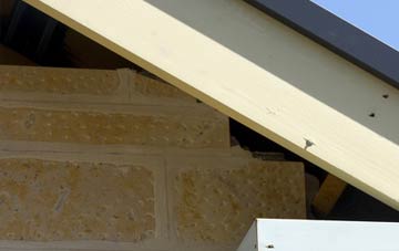 soffit repair Dipford