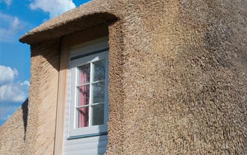 Dipford thatch roof disadvantages