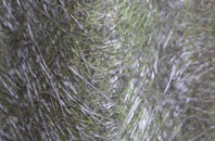 Dipford fibreglass roof work