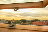 rated Dipford roof window companies